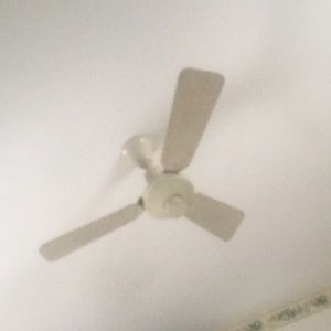 Meet your Posher, Shan